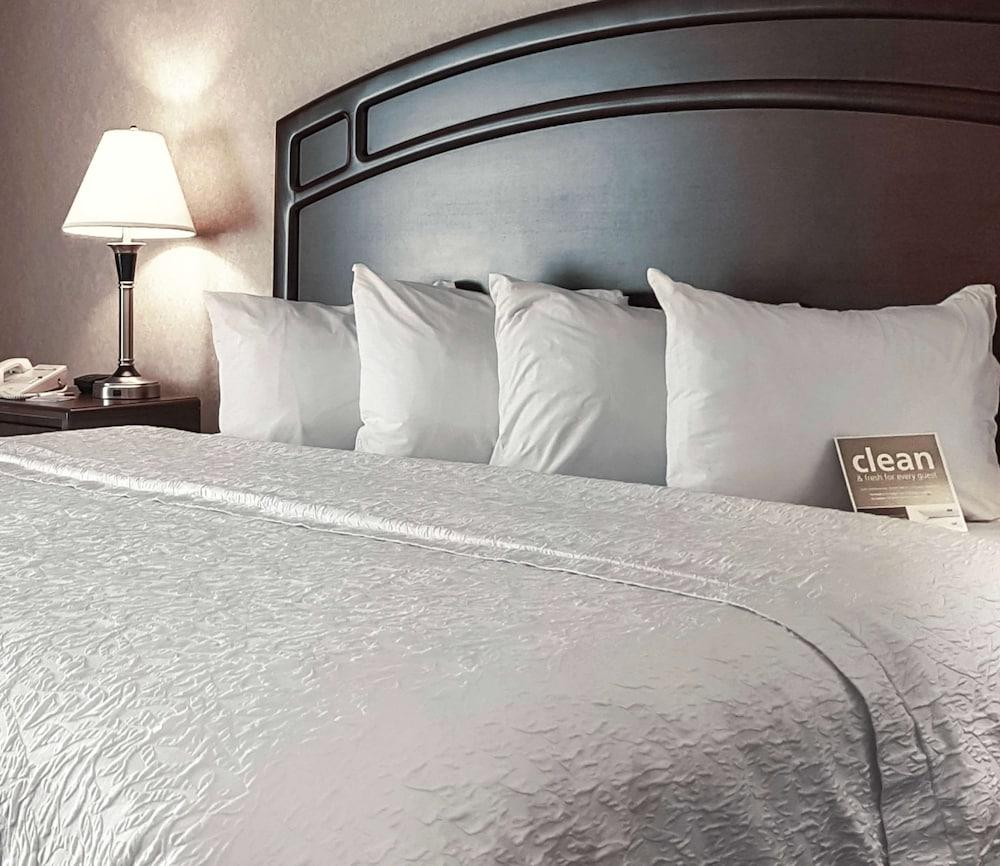 לדוק Hampton Inn & Suites By Hilton Edmonton International Airport מראה חיצוני תמונה