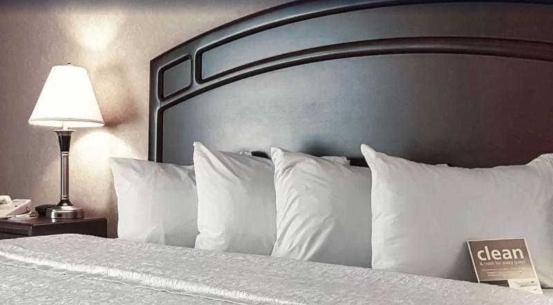לדוק Hampton Inn & Suites By Hilton Edmonton International Airport מראה חיצוני תמונה
